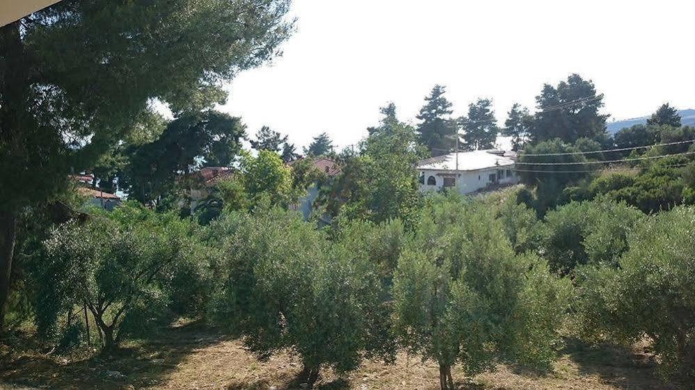 Artemis Plaza Aparthotel Agia Paraskevi  Eksteriør bilde
